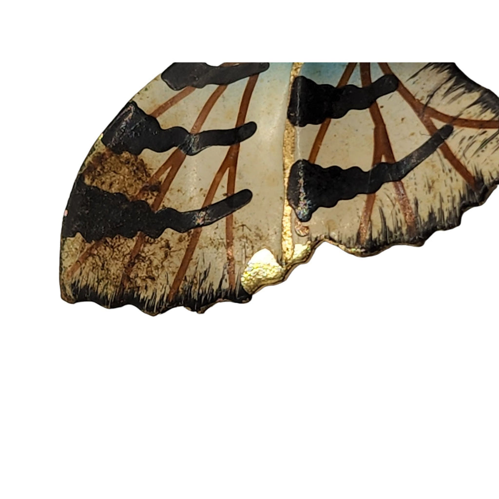 Vintage Enamel on Brass Butterfly Brooch (A665)